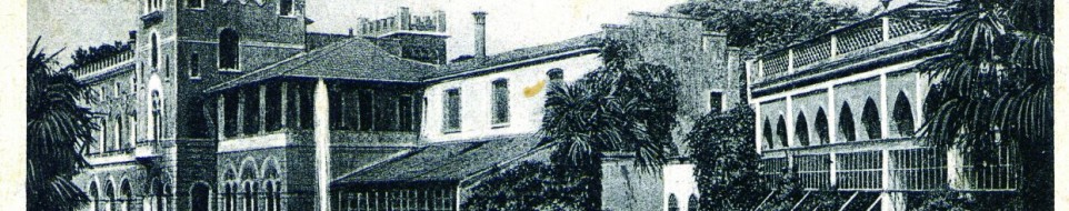 Cartolina storica di Villa Conte Negri de Salvi